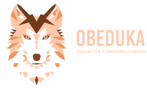 obeduka_logo